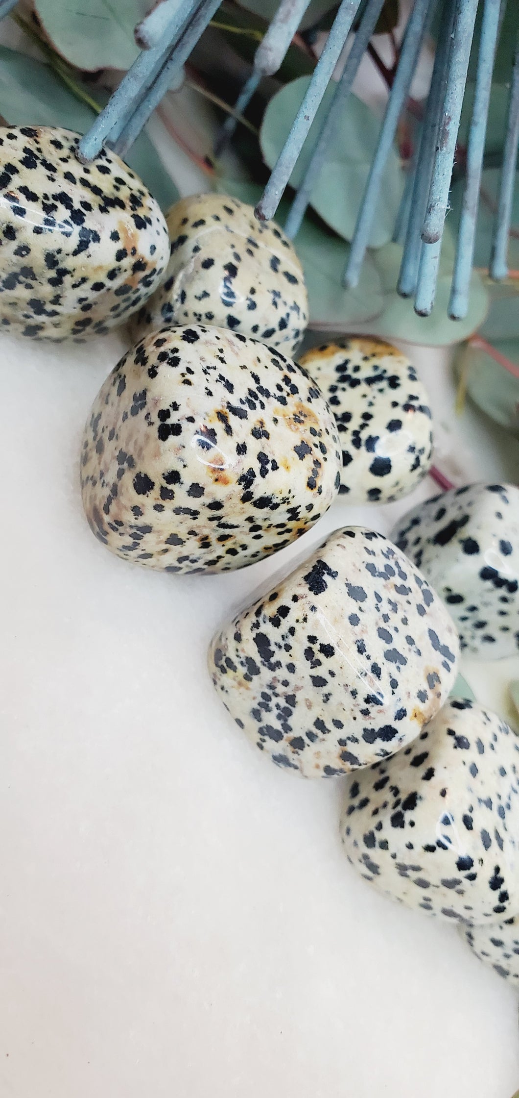 Dalmation Jasper Tumbled  Stone