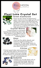 Load image into Gallery viewer, Plant Love Crystal Set